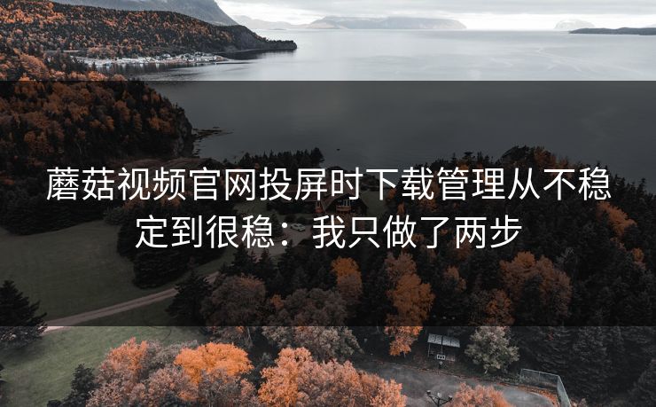 蘑菇视频官网投屏时下载管理从不稳定到很稳：我只做了两步